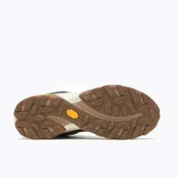 Merrell Speed Solo Mid Waterproof Earth Men