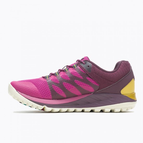 Merrell Antora 2 Fuschia Women