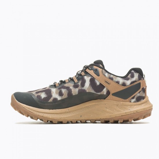 Merrell Antora 3 Leopard Sepia Leopard Women