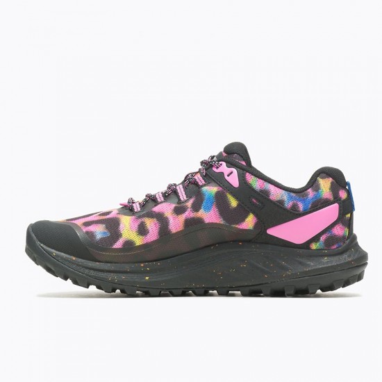 Merrell Antora 3 Leopard Rainbow Leopard Women